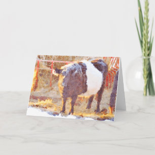 Frosty Belted Galloway Koe in Snow Blank Inside Feestdagen Kaart