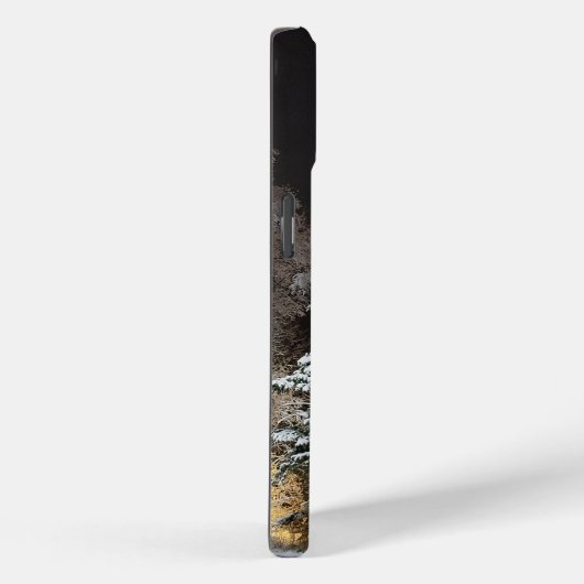 Frosty Black Winter Forest iPhone Case (Achterkant / Rechts)