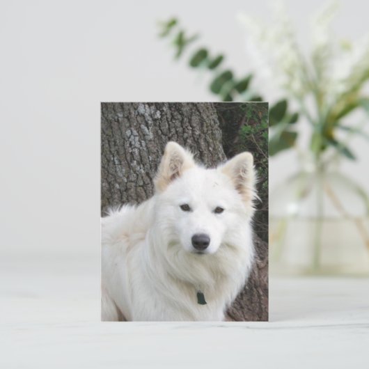 Frosty Briefkaart (Staand voorkant)