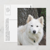 Frosty Briefkaart (Voorkant / Achterkant)