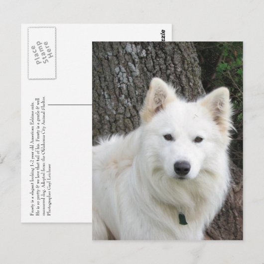 Frosty Briefkaart (Voorkant / Achterkant)