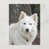 Frosty Briefkaart (Voorkant)