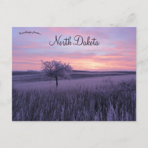 Frosty Erlenbusch Sunrise North Dakota Briefkaart