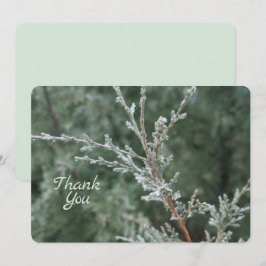 Frosty Evergreen Christmas Natuur Foto Bedankkaart