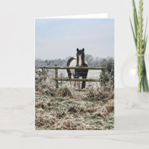 Frosty Field Feestdagen Kaart