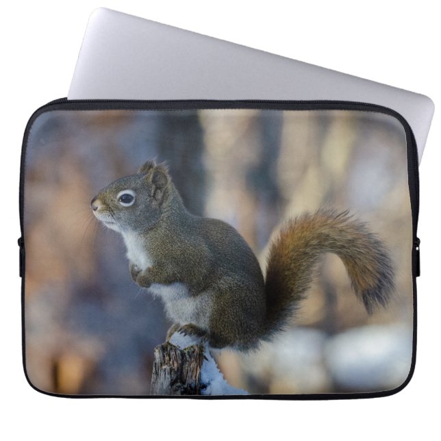 Frosty Forager: Canadese wintereekhoorn Laptop Sleeve (Voorkant)