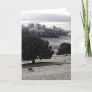 Frosty Goedemorgen Feestdagen Kaart