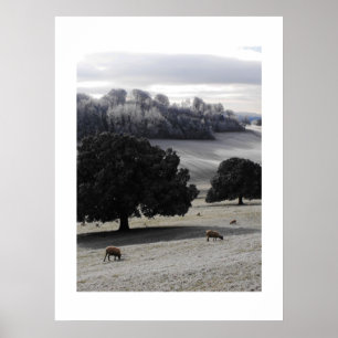 Frosty Goedemorgen Poster