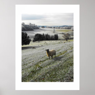 Frosty Goedemorgen Poster