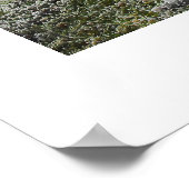 Frosty Goedemorgen Poster (Hoek)