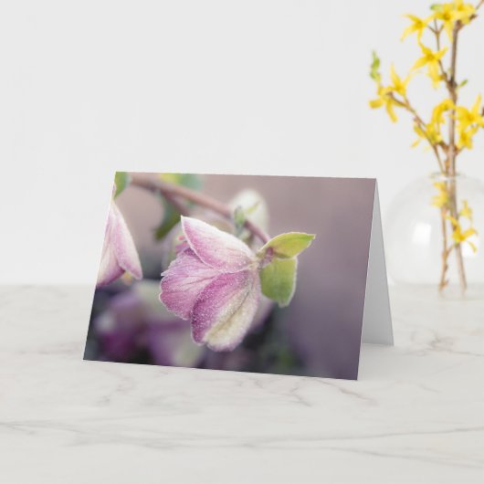 Frosty Helleborus Note Kaart (Gele Bloem)