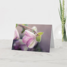 Frosty Helleborus Note Kaart