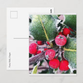 Frosty Holly Briefkaart (Voorkant / Achterkant)