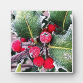 Frosty Holly Fotoplaat (Voorkant)