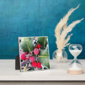 Frosty Holly Fotoplaat (Insitu)