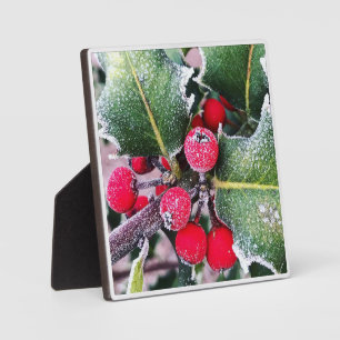 Frosty Holly Fotoplaat
