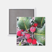 Frosty Holly Magneet (Voorkant / Achterkant)