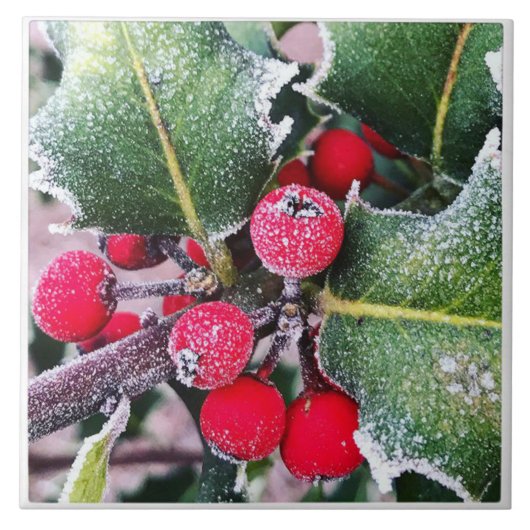 Frosty Holly Tegeltje (Voorkant)