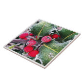 Frosty Holly Tegeltje (Zijkant)