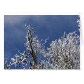 Frosty Iowa Aftermiddag (Voorkant Horizontaal)