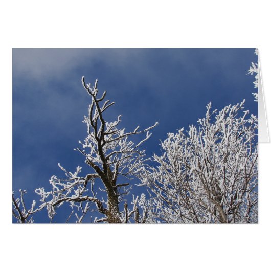 Frosty Iowa Aftermiddag (Voorkant Horizontaal)