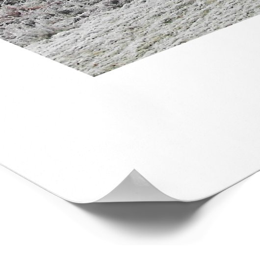 Frosty-landschap Poster (Hoek)