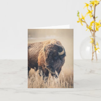 Frosty Morning - 4" x 5.6" Notecard Kaart