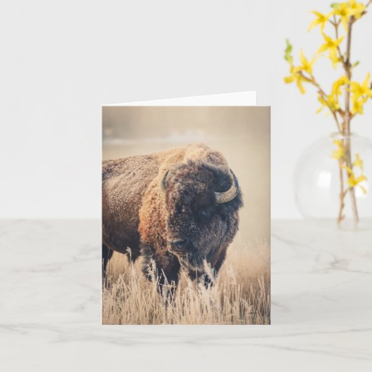 Frosty Morning - 4" x 5.6" Notecard Kaart (Gele Bloem)