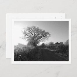 Frosty Morning: Cheshire Briefkaart