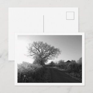 Frosty Morning: Cheshire Briefkaart