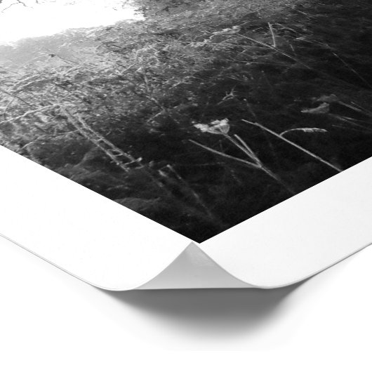 Frosty Morning: Cheshire Poster (Hoek)