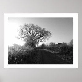 Frosty Morning: Cheshire Poster