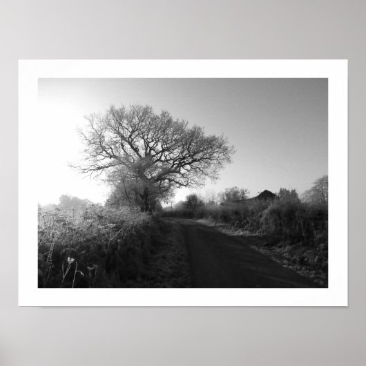 Frosty Morning: Cheshire Poster (Voorkant)