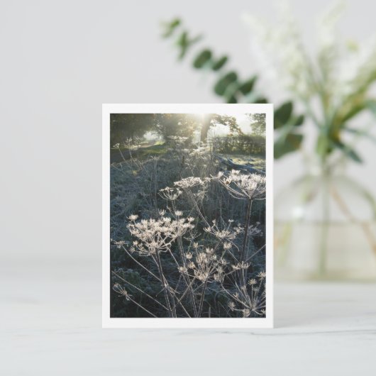 Frosty Morning in Cheshire Briefkaart (Staand voorkant)