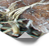 Frosty Morning laat Poster (Hoek)