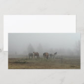 Frosty Morning Mist kaartjes (Voorkant / Achterkant)