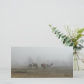 Frosty Morning Mist kaartjes (Staand voorkant)