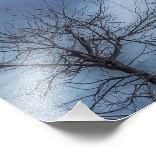 Frosty Morning Niagara Herfsten Foto Afdruk (Hoek)