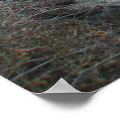 Frosty Morning on Price Road Poster (Hoek)