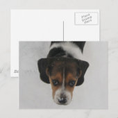 Frosty Nose Briefkaart (Voorkant / Achterkant)