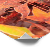 Frosty-ochtend, Mill Creek, WA, Verenigde Staten Poster (Hoek)