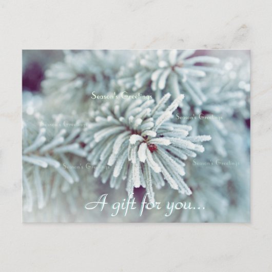 Frosty Pine Bough Holiday Cadeft Certificate Briefkaart (Voorkant)