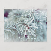 Frosty Pine Bough Holiday Cadeft Certificate Briefkaart (Voorkant)