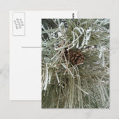 Frosty Pine Briefkaart (Voorkant / Achterkant)