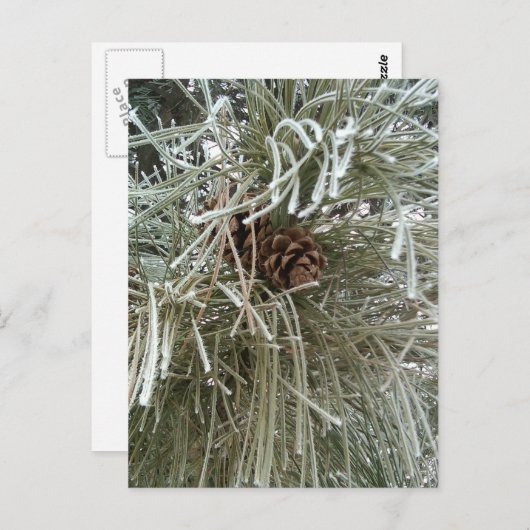Frosty Pine Briefkaart (Voorkant / Achterkant)