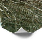 Frosty Pine Poster (Hoek)
