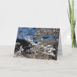 "Frosty Pines" kerstkaart Kaart