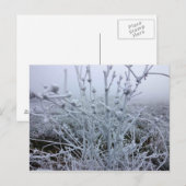 Frosty Planten Winter Landschap Briefkaart (Voorkant / Achterkant)