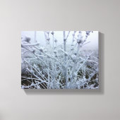 Frosty Planten Winter Landschap Canvas Afdruk (Voorkant)