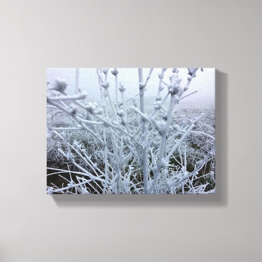 Frosty Planten Winter Landschap Canvas Afdruk (Voorkant)